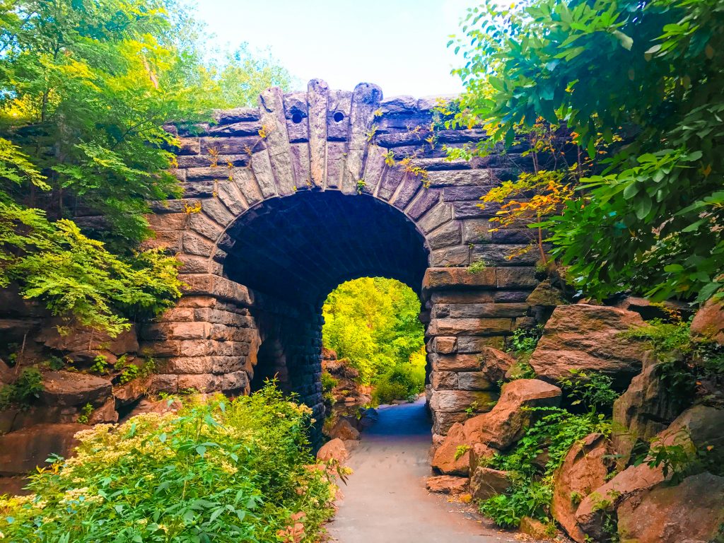 best central park walking tours