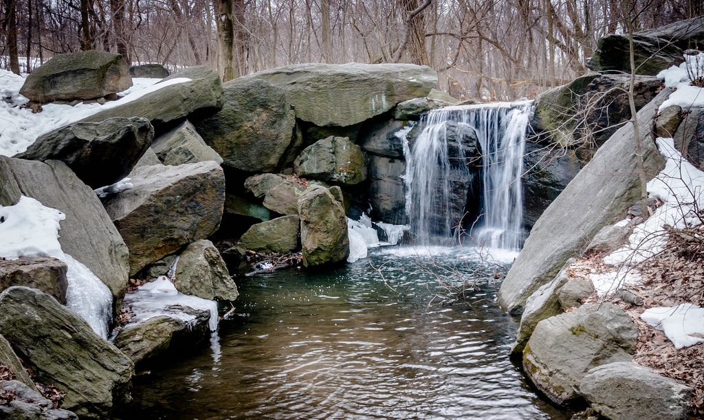 Best Central Park Walking Tour NYC