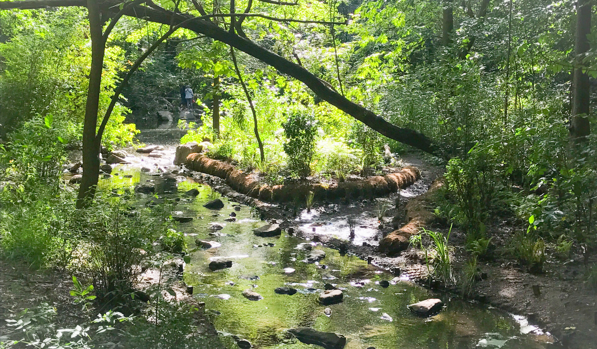 nyc central park walking tour