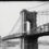 Best Brooklyn Walking Tour: The Brooklyn Bridge, DUMBO, Brooklyn Heights, and the Stories That Built New York