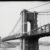 Best Brooklyn Walking Tour: The Brooklyn Bridge, DUMBO, Brooklyn Heights, and the Stories That Built New York