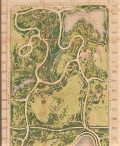 Best Central Park Walking Tour
