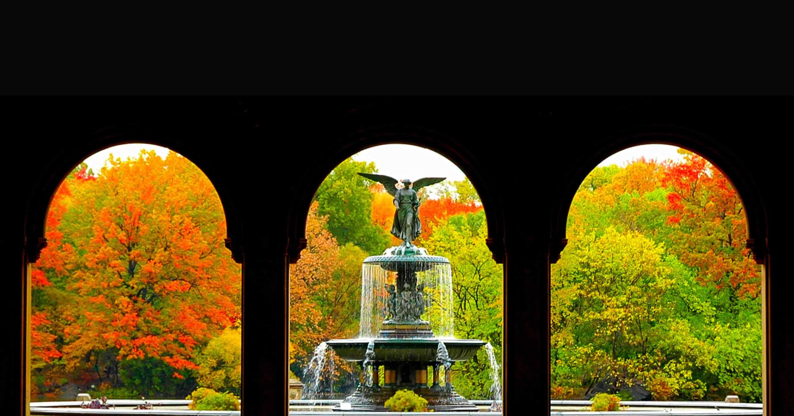 Best Central Park Tour