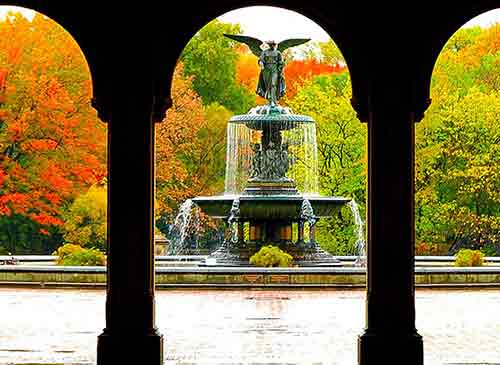 Best Tours New York City