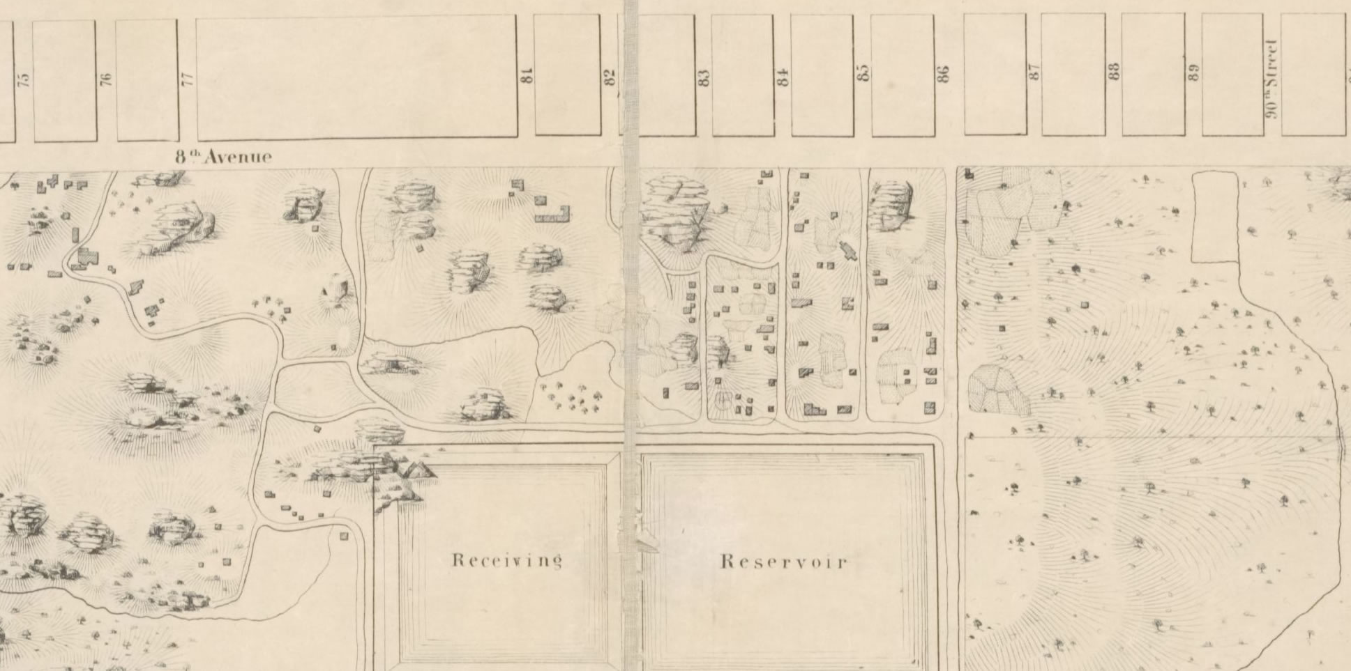 Best Seneca Village Tour