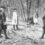 The Hamilton & Burr Duel Letters