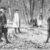 The Hamilton & Burr Duel Letters