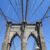The Remarkable Roeblings and the Making of the Brooklyn Bridge