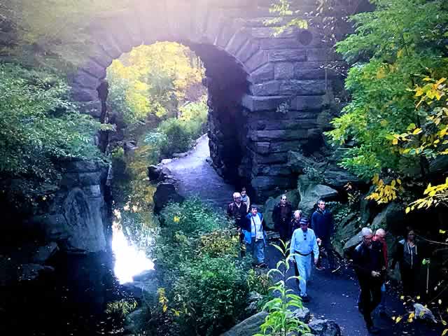 Best Central Park Walking Tour