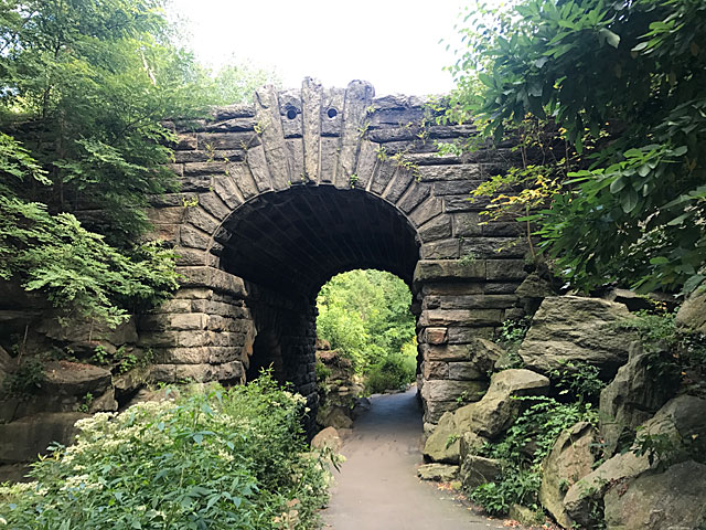 Best Central Park Tour