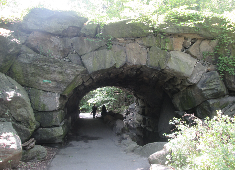 Central Park Tour